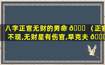 八字正官无财的男命 🐋 （正官不现,无财星有伤官,早克夫 🐛 ）